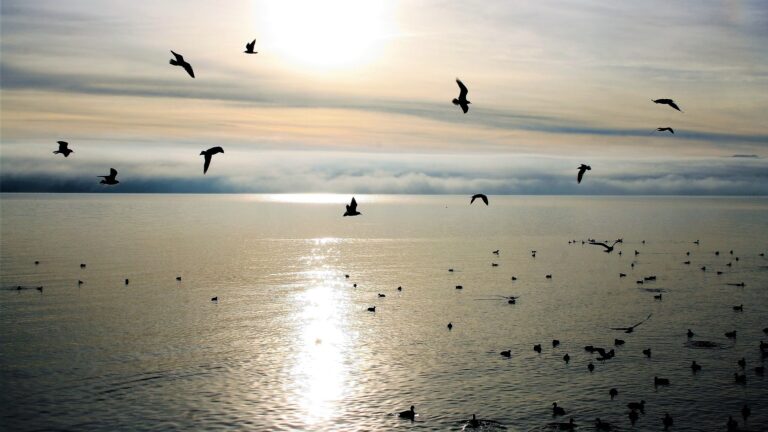 Βίντεο: «Όπως ζεις, θα πεθάνεις»